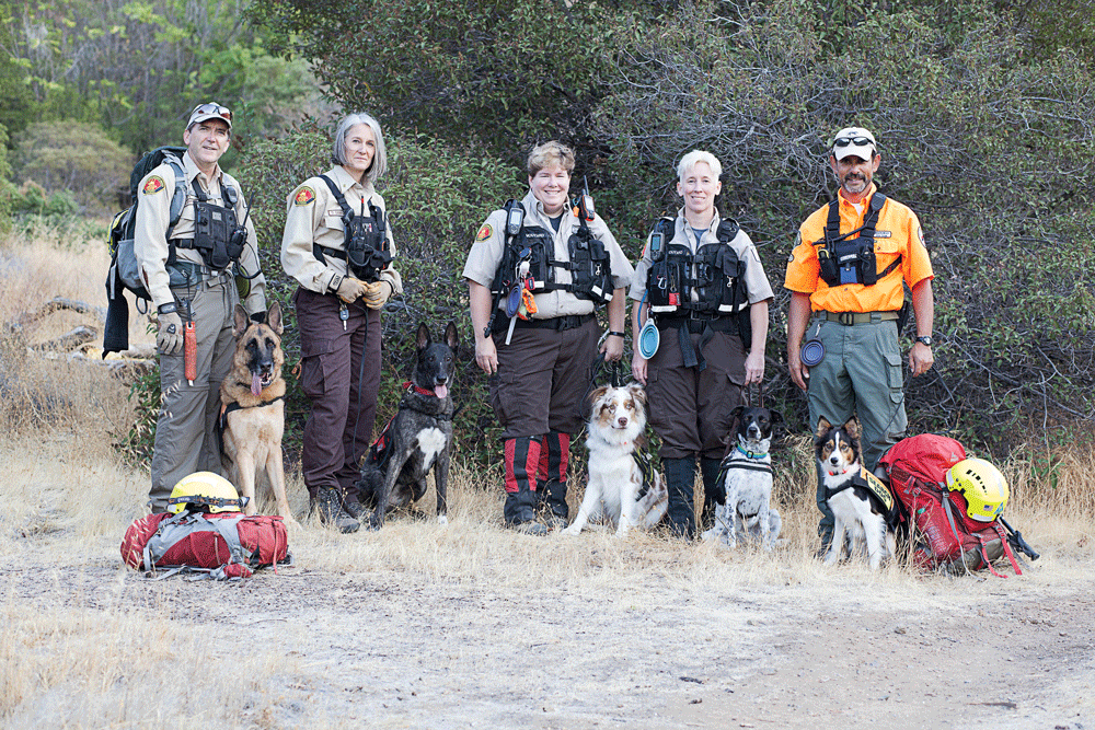 Four-Legged Heroes: The K-9 Rescue Squad