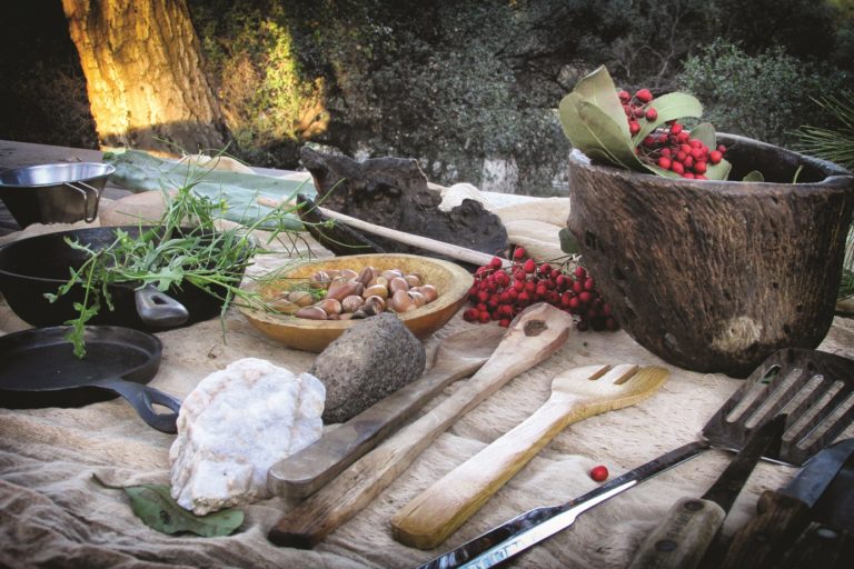 Wild Foods: Know How to Make the Tools Needed to Prepare Tasty Dishes
