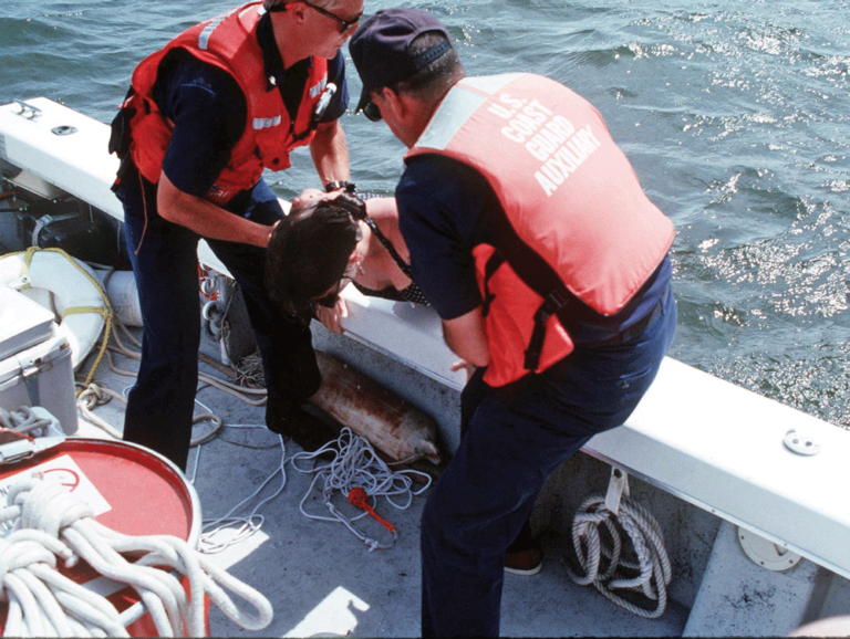 Emergency Rescue Beacons American Outdoor Guide