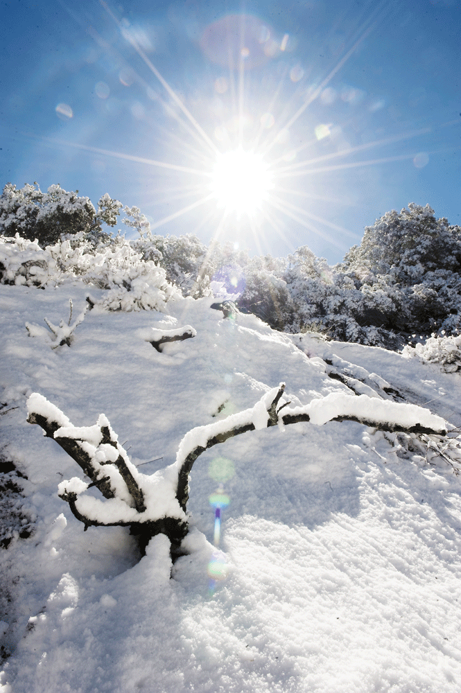 Whiteout: Snow Blindness