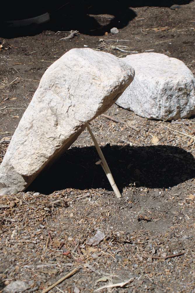 Trapping Small Game: 3 Effective Deadfall Triggers 1 When done properly, the slightest movement of any of the sticks will allow the deadfall to crash down.