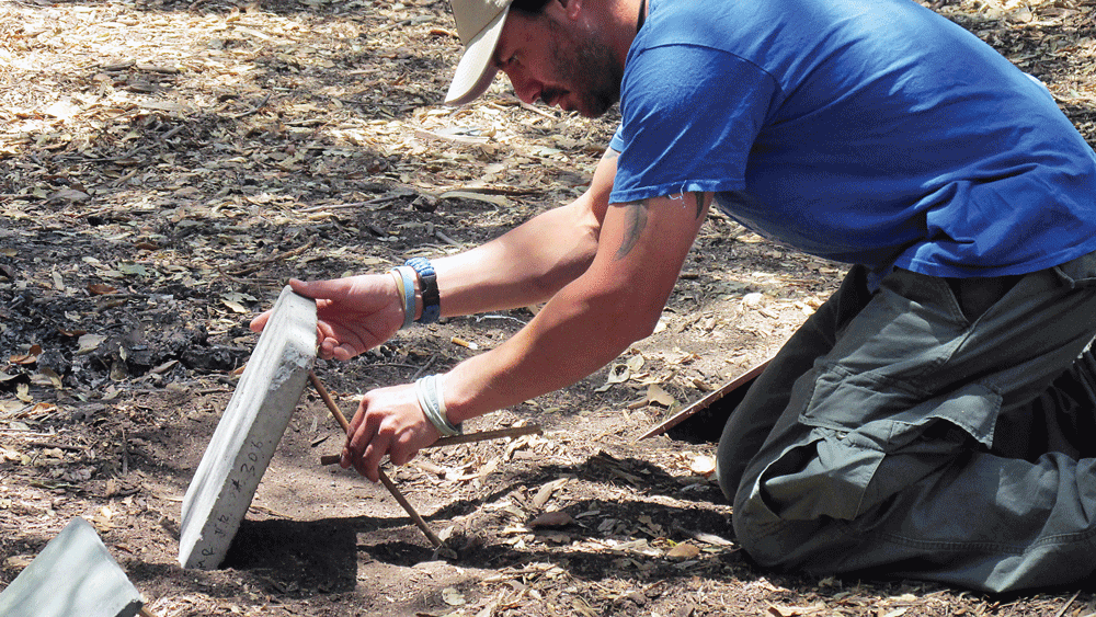 Demonstrating how the slightest nudge brings down a Paiute Deadfall.