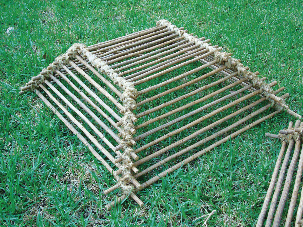 ASG-1508-Trap-103013QUAILtrapLoaiza-005