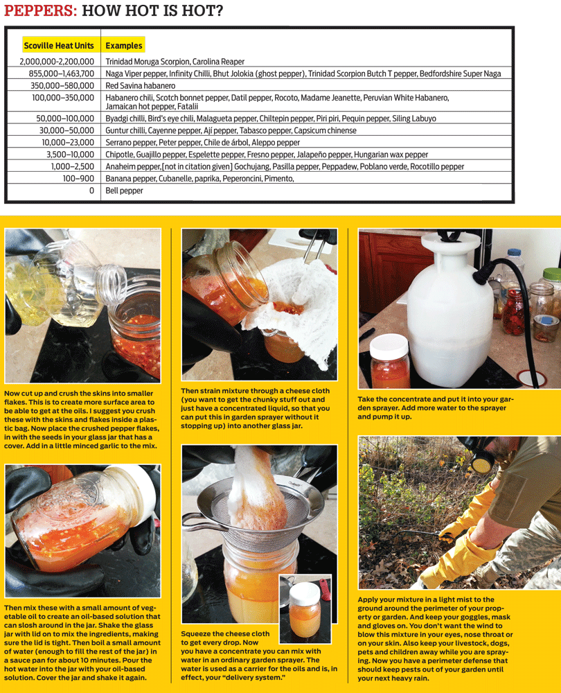 DIY Pepper Spray American Outdoor Guide