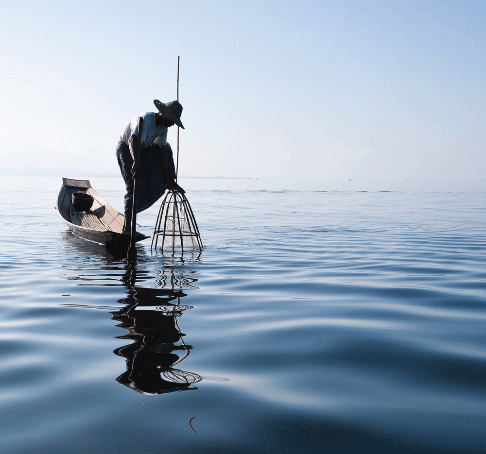 Native Fishing: How to Build a Primitive Fish Basket Trap - American  Outdoor Guide