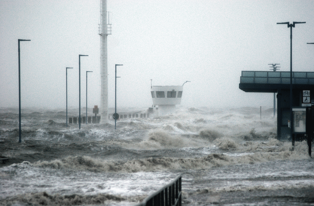 When the Levee Breaks: Surviving the Rising Tide of a Deadly Flood