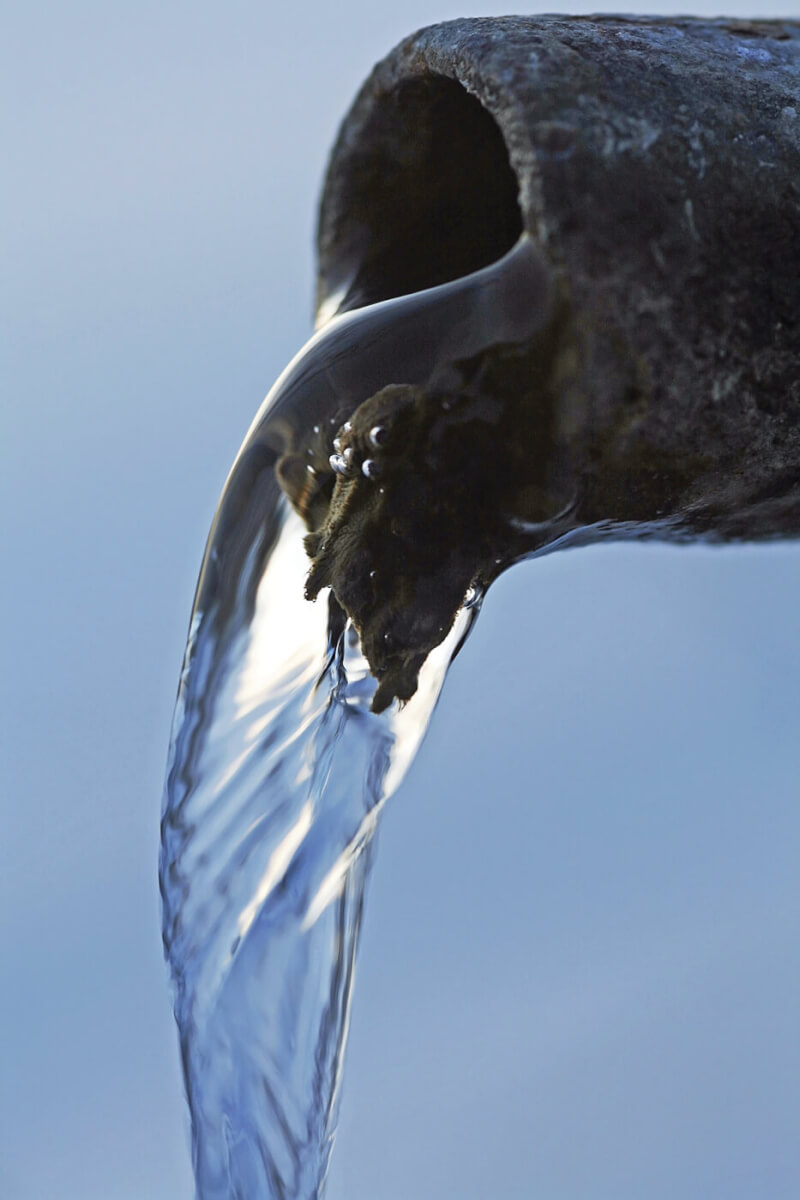Harnessing H2O: 5 Tips for your Water Collection System