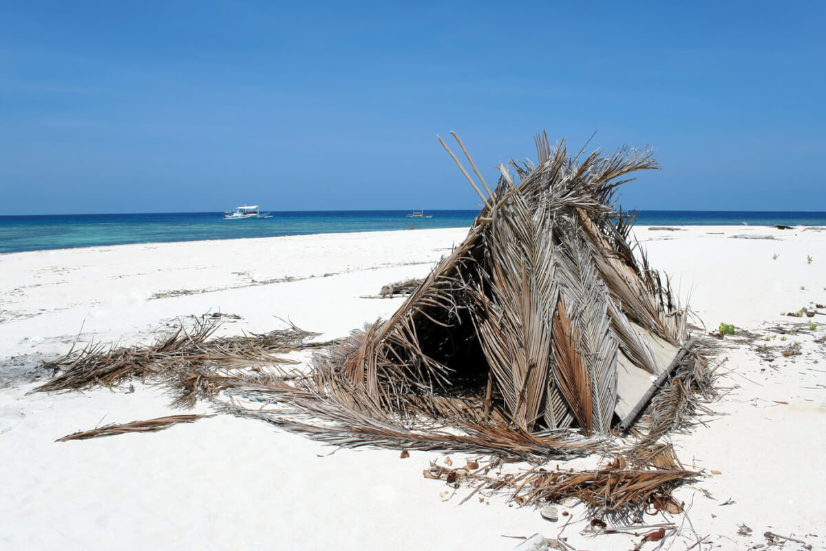 Rough-hewn Refuge: Constructing A Survival Shelter