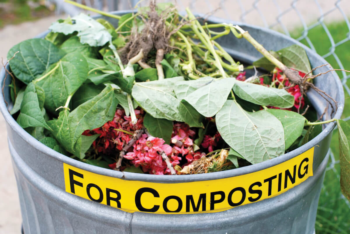 Starting an Urban Compost Project