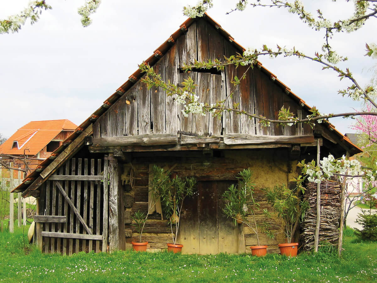 Basement Bounty: A Guide to Root Cellar Gardening