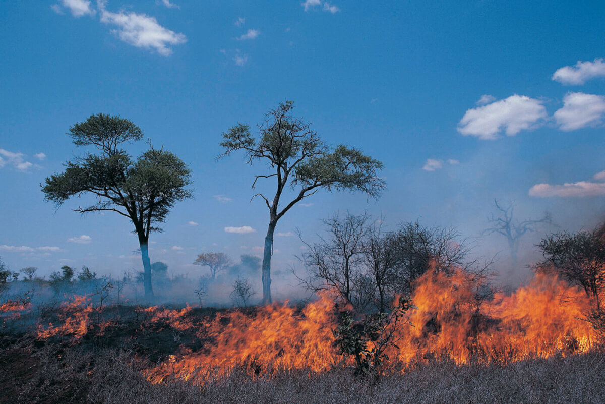 Under Fire: Protect Your Home Against Wildfires