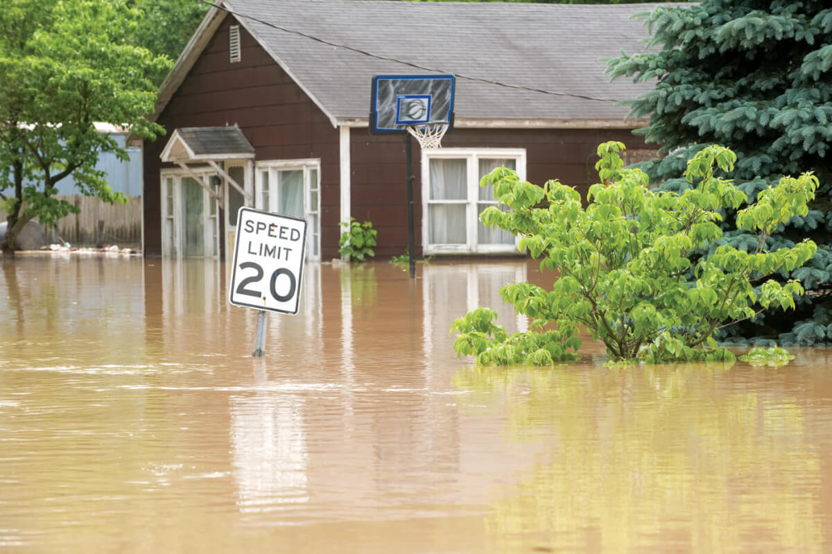 Hope Floats: Surviving Floods