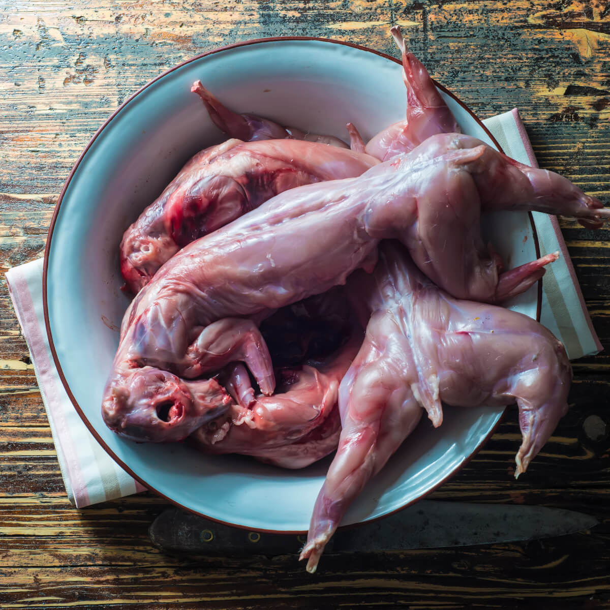 Furry Feast: How to Prep Rabbit and Squirrel