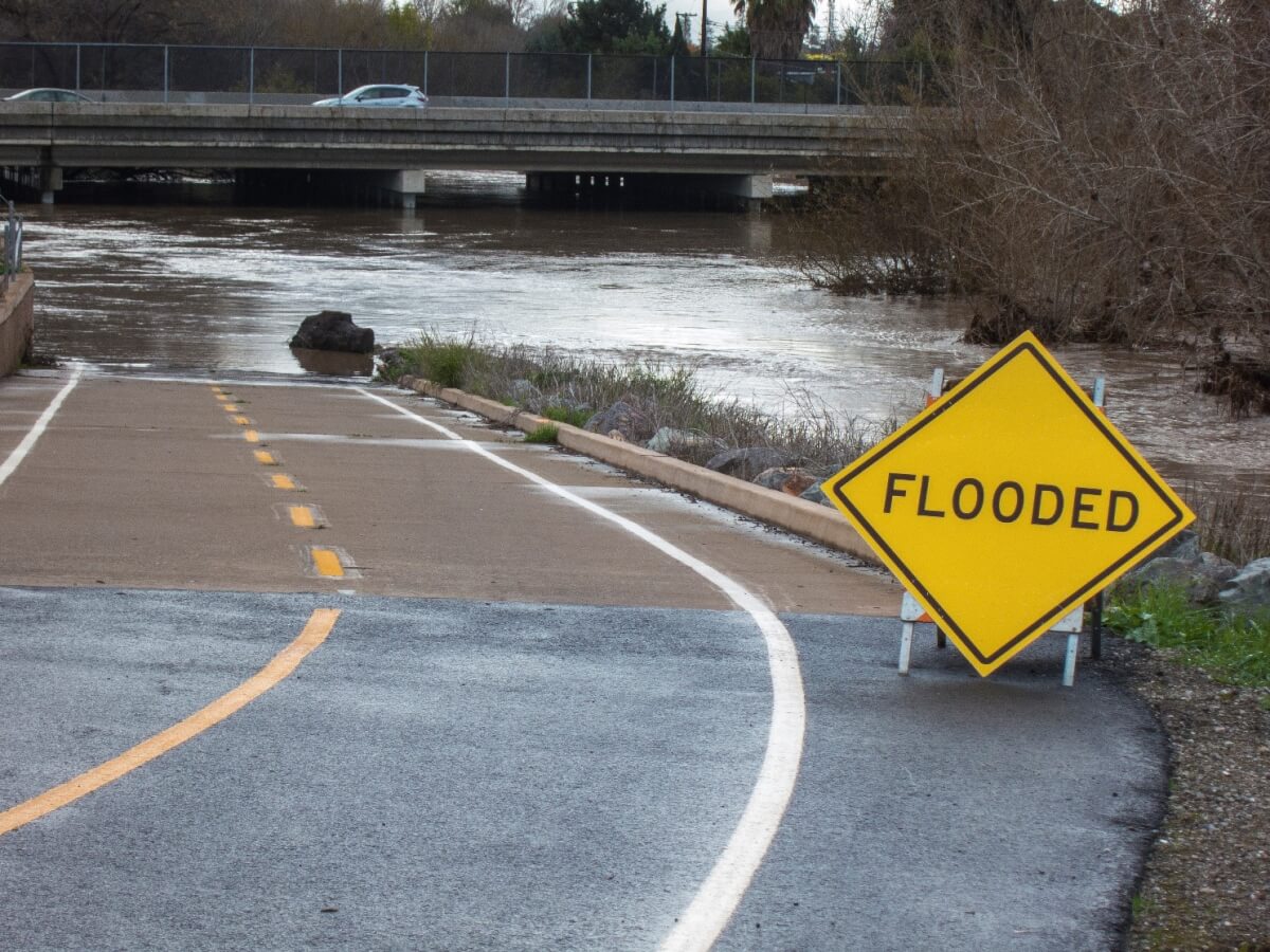 Stay on Top: How to Survive a Flood