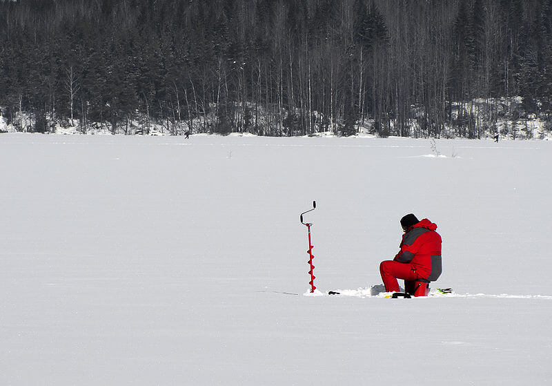 Cold Catch: 4 Freshwater Fish for Winter Fishing