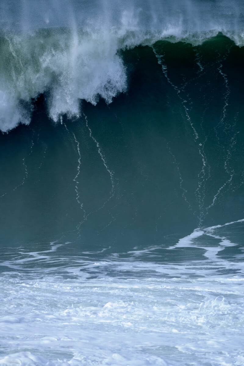 Waves of Death: Tsunami Survival