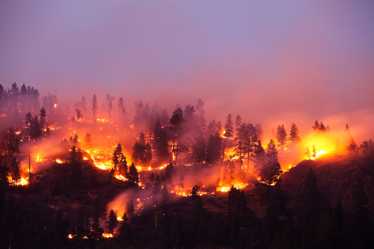 Up In Smoke: Surviving A Wildfire Might Mean Leaving Everything Behind