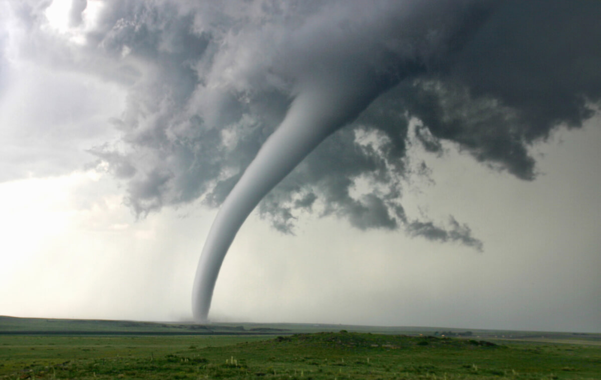 Twisters of Terror: Tornado Survival 101