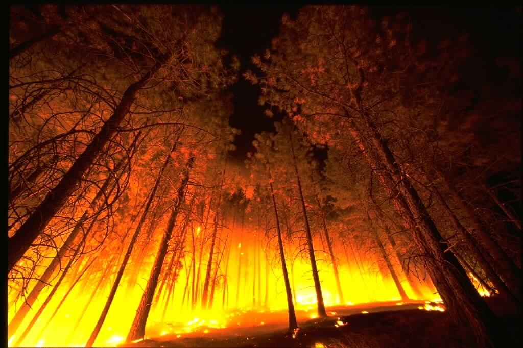 Record-Breaking: Northern California Wildfire is the Largest in State's History