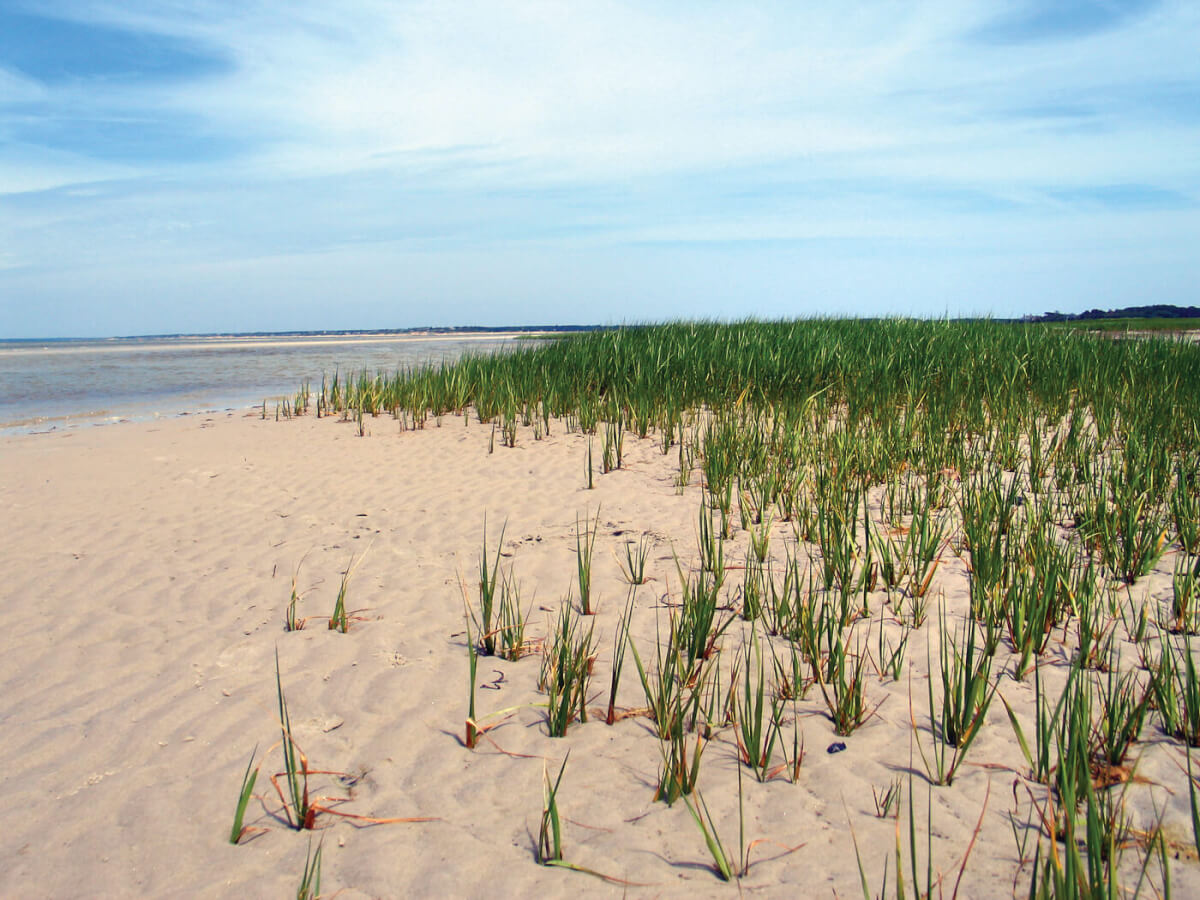 A Solar Still in the Sand: How To Make Fresh Water in Coastal Regions