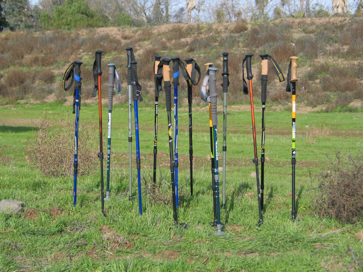 Gear Guide: Trekking Poles and Walking Sticks