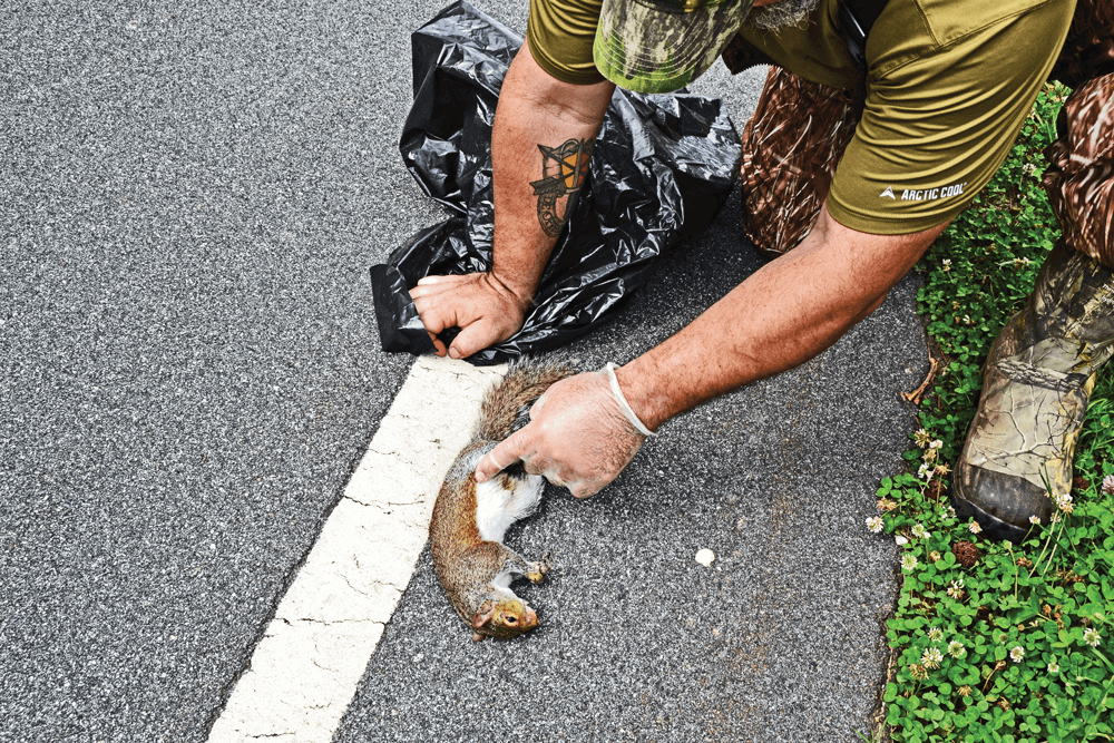 Dining at the Roadkill Café