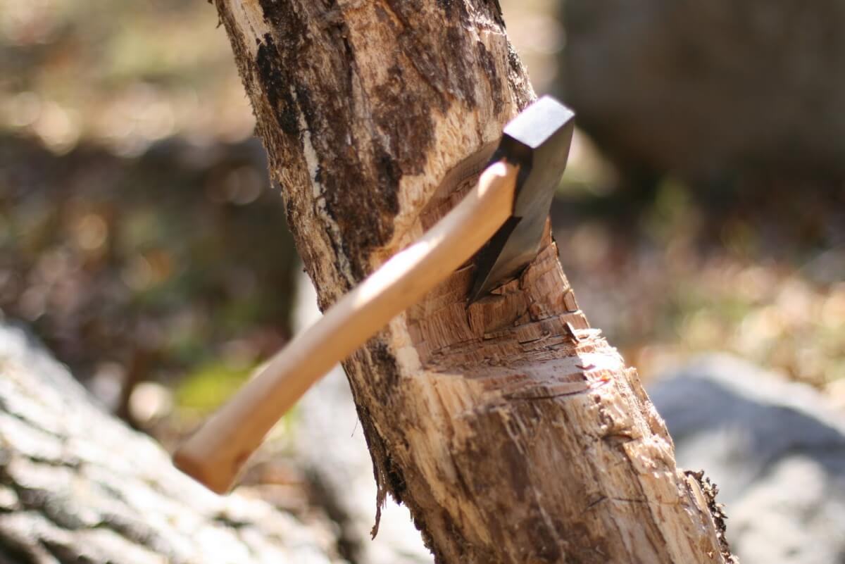 How To Chop Down A Tree Timbeerrr! How to Fell A Tree with an Ax - American Outdoor Guide