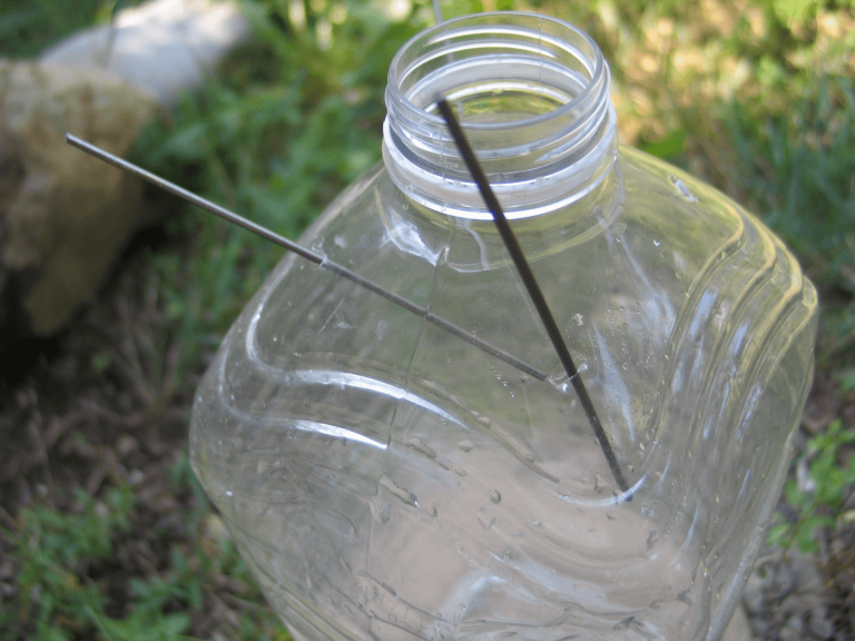 DIY SmallGame Trap Learn to Build a Better Mousetrap