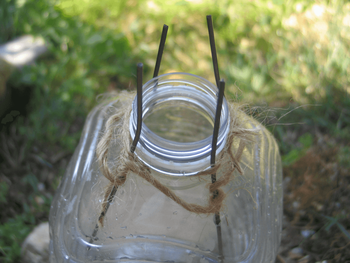 DIY SmallGame Trap Learn to Build a Better Mousetrap