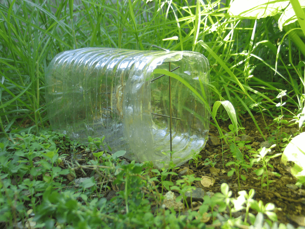 DIY SmallGame Trap Learn to Build a Better Mousetrap