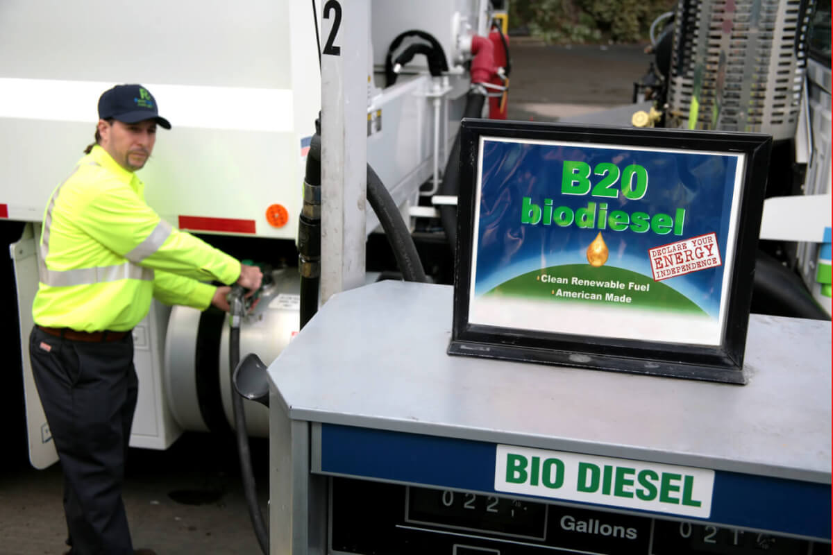 Fuel Your Survival: How to Make Biodiesel