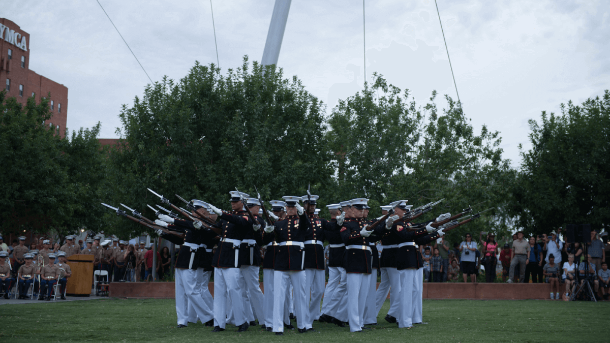 Thank You for Your Service: Veteran's Day