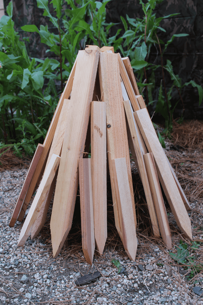 Building Better Blazes: Picking the Best Fire Lay - American Outdoor Guide