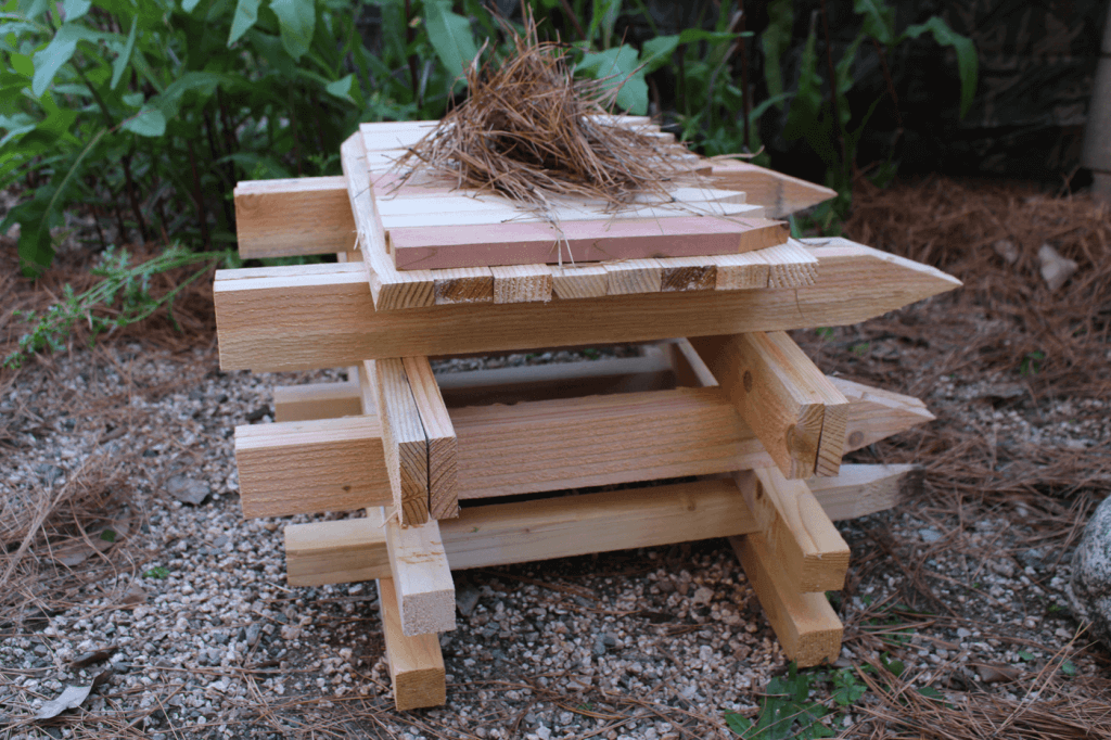 Building Better Blazes: Picking the Best Fire Lay - American Outdoor Guide