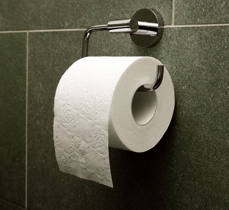 Cut the Crap: 6 Toilet Paper Alternatives
