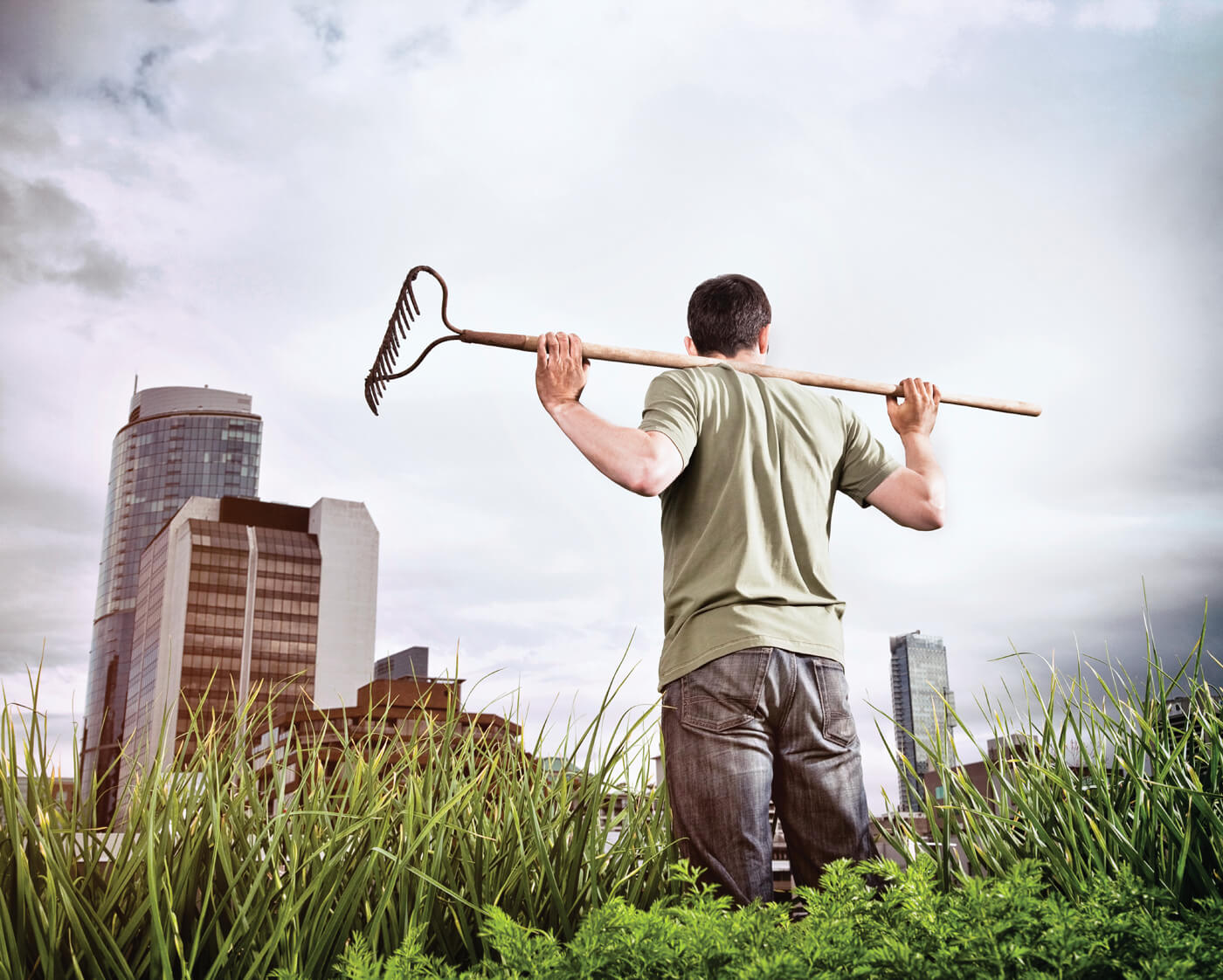 Gardening in the city