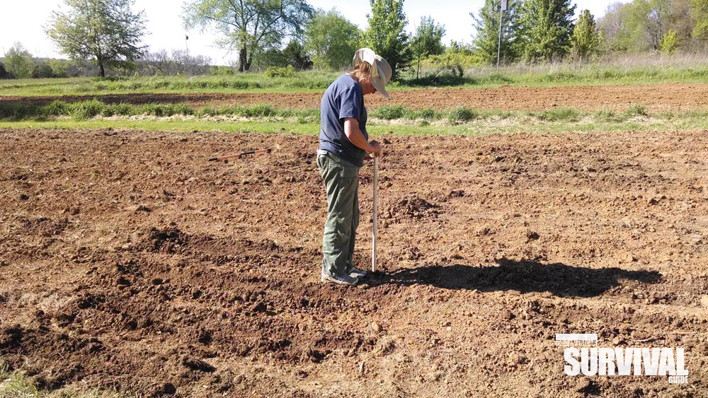 HOW DOES YOUR GARDEN GROW? - American Outdoor Guide