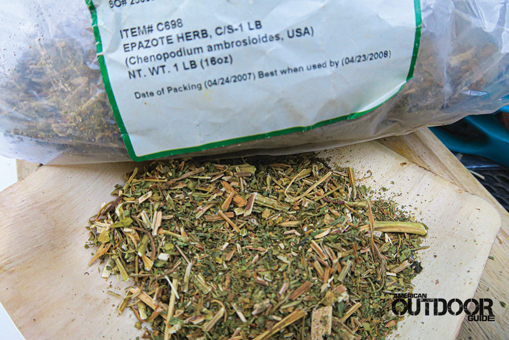 THE MANY BENEFITS OF EPAZOTE