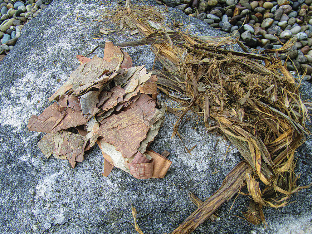 Birch bark and Eastern red cedar bark