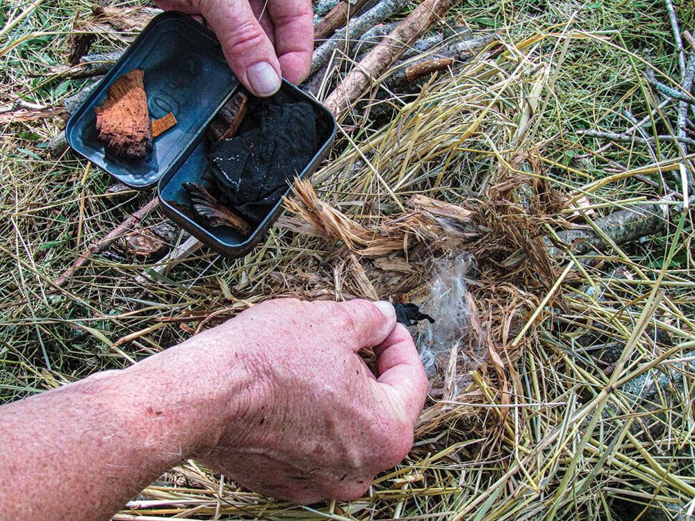 Charred materials and dry fungus