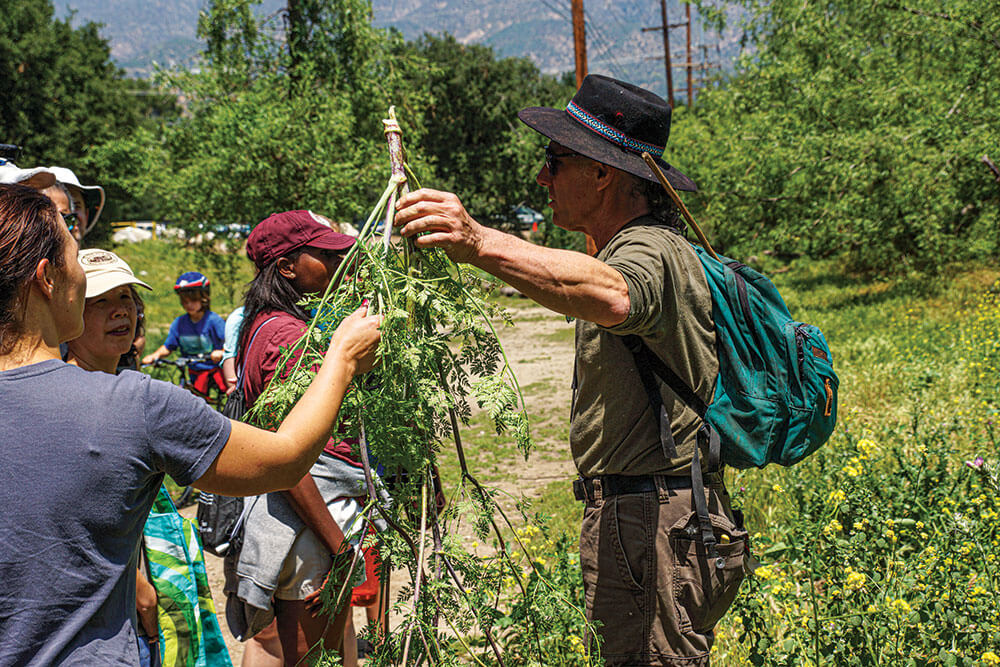 The author suggests learning ethnobotany