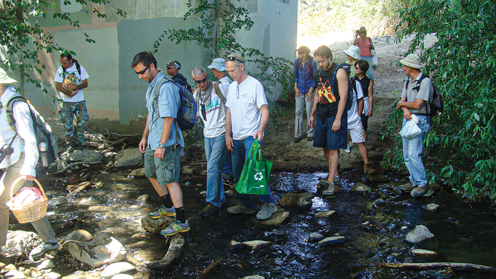  students explore an urban stream.