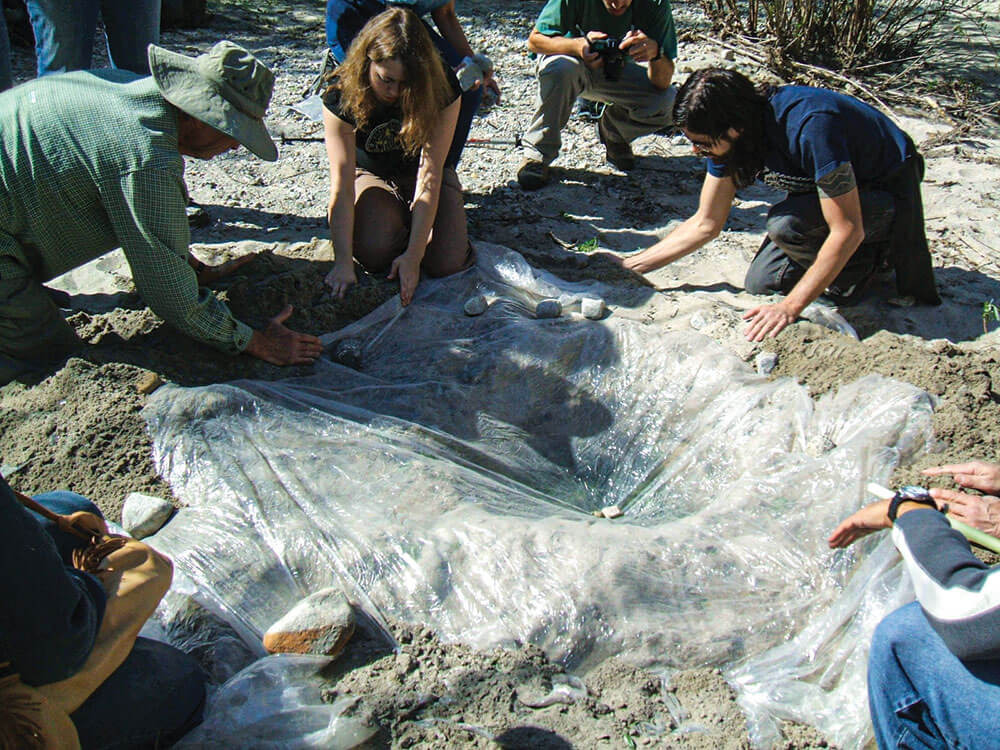 Here, students learn how to create a desert solar still. 