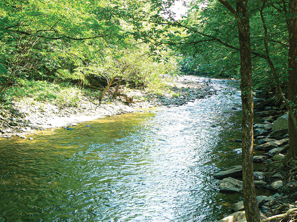 Stream in North Carolina’s Smoky Mountains