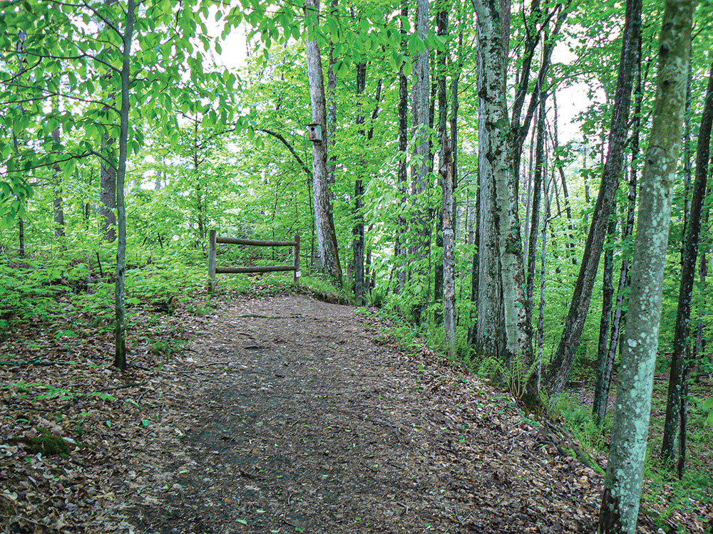 Trail at Vermont Institute of Natural Sciences