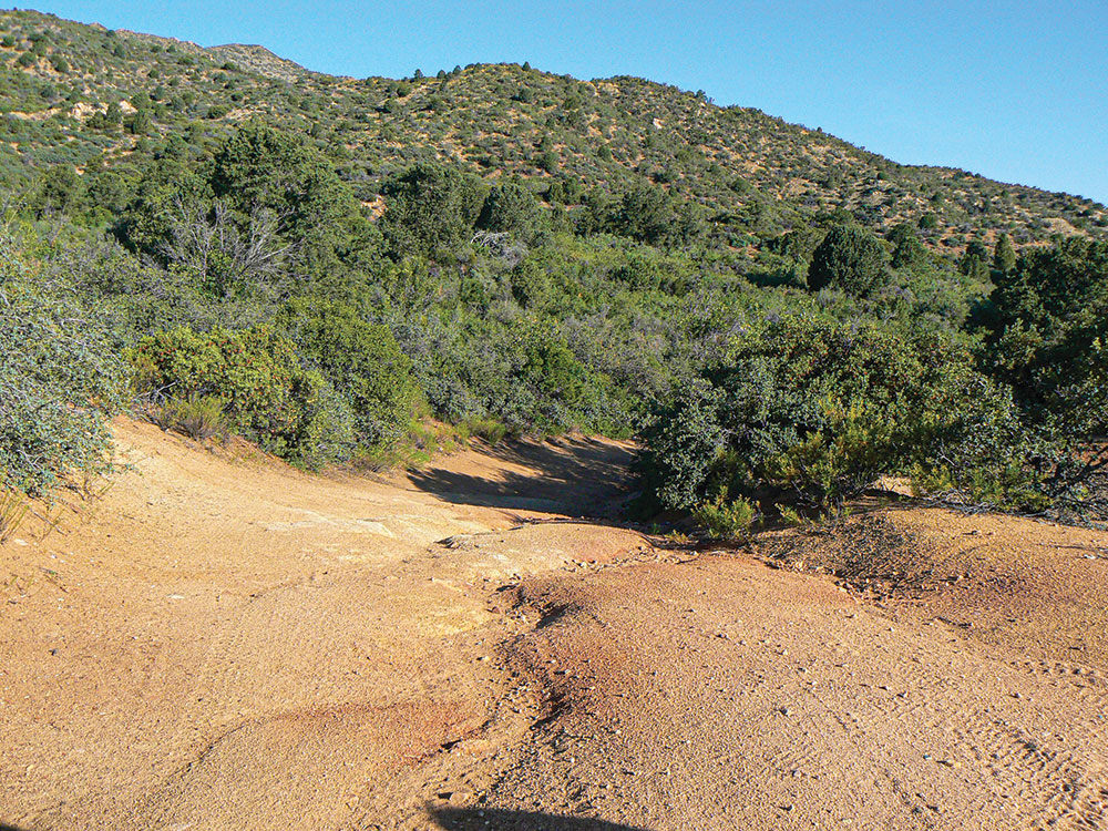 Arizona’s Prescott National Forest 