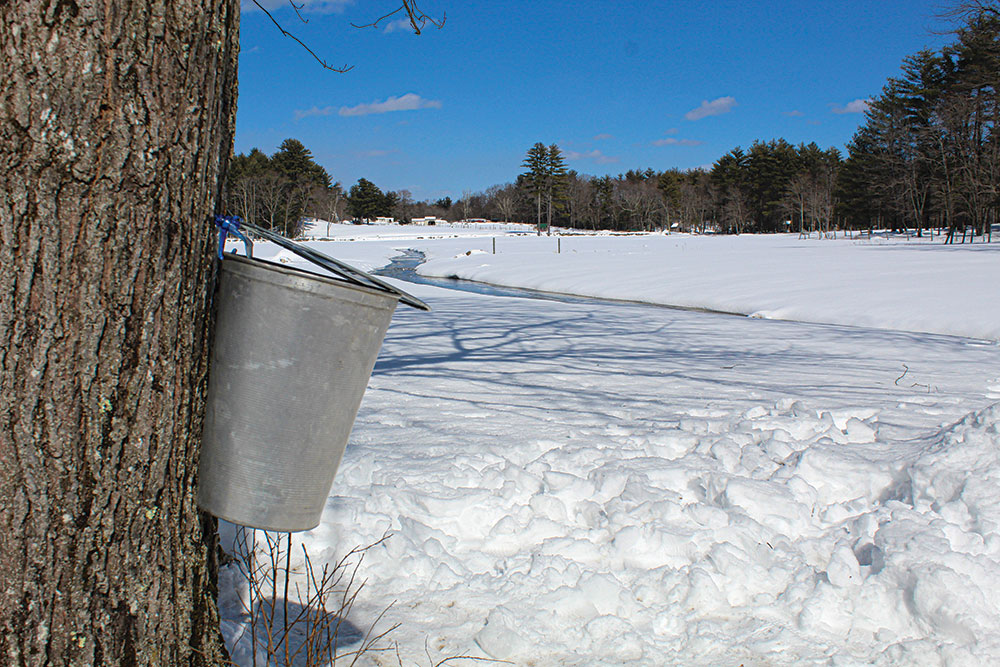 This photo captures a typical scene in northern New England at springtime.