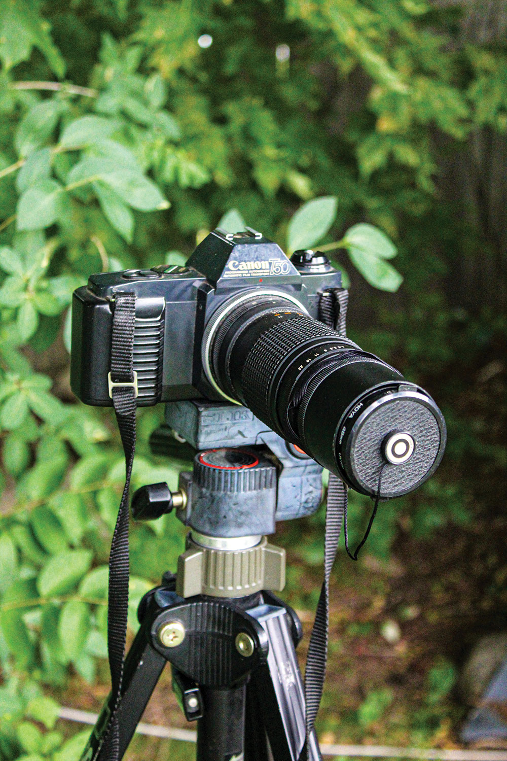Author’s old 35mm SLR camera
