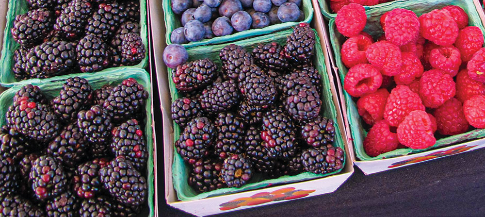 blackberry fruits are for sale at a farmer’s market