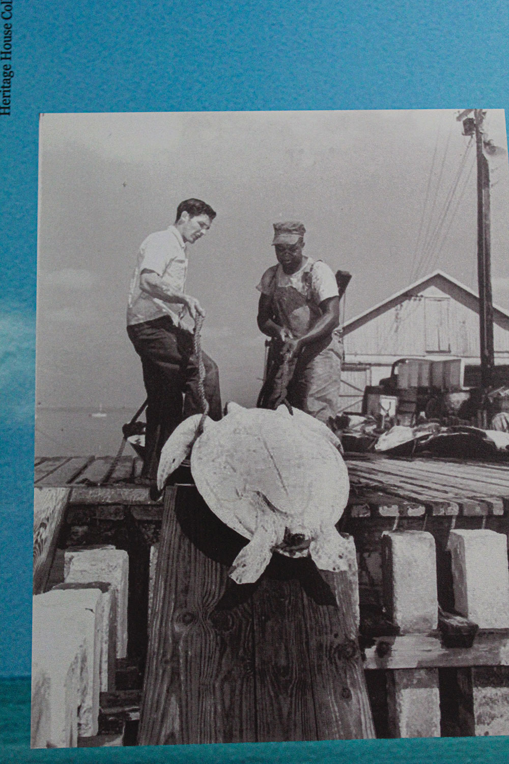 The Key West area was home to a turtling industry for more than 150 years